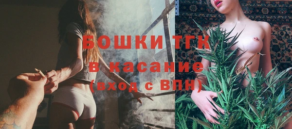 шишки Балабаново