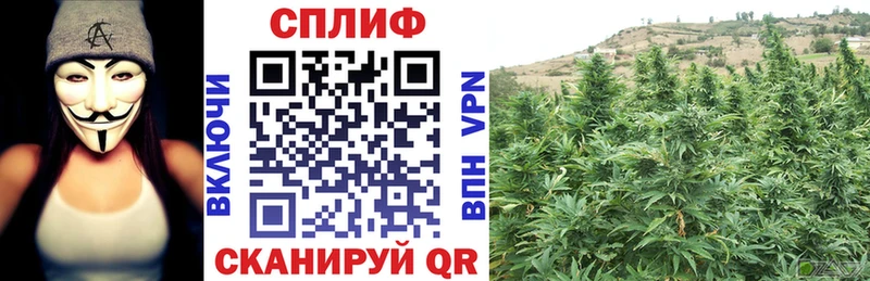 Марихуана марихуана  Курганинск 